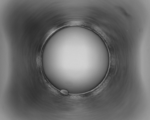 X0000116621473200912181255