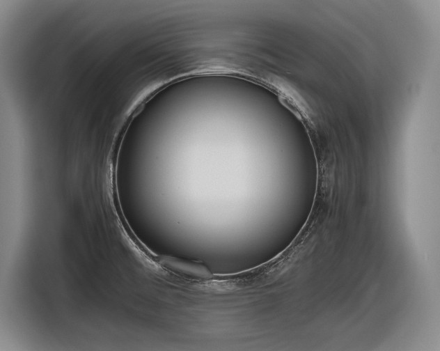 X0000116621476200912181255