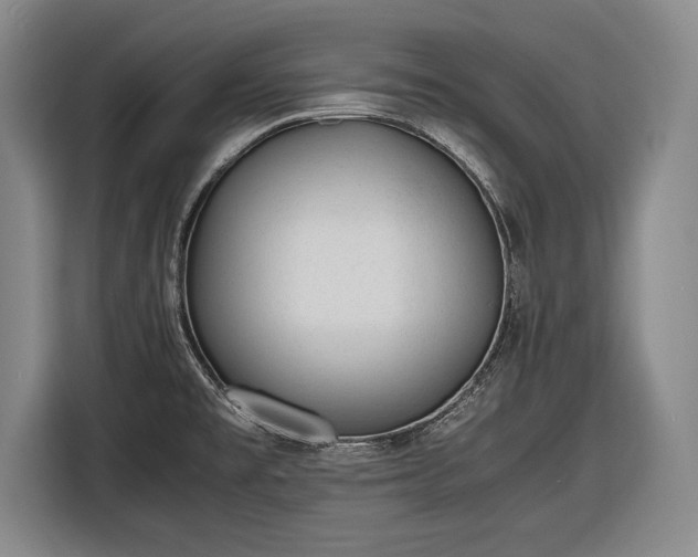 X0000116621477200912181255
