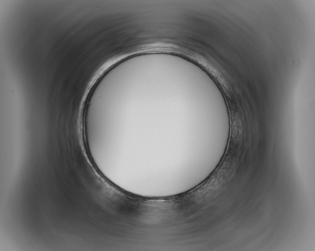 X0000116621478200912181255