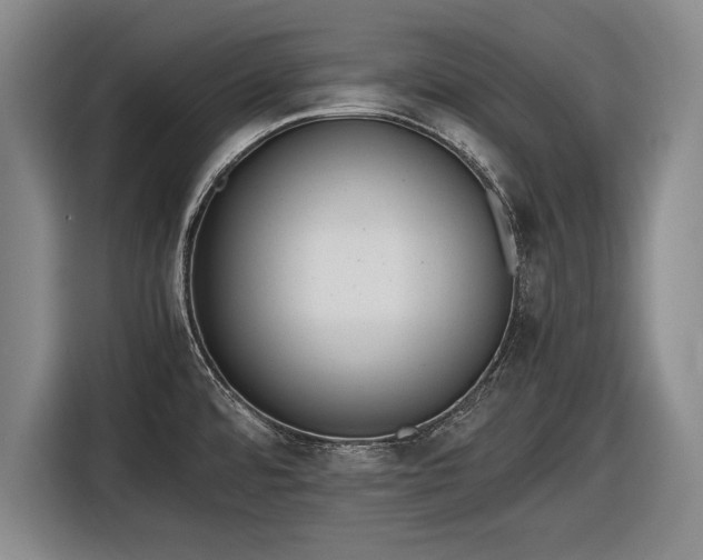 X0000116621480200912181255