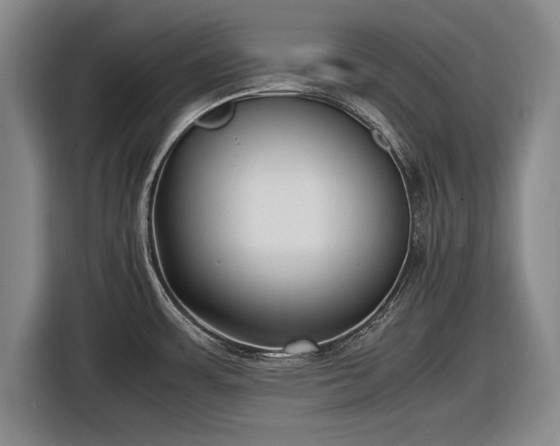 X0000116621483200912181255