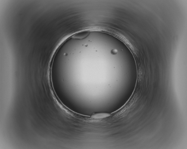 X0000116621484200912181255