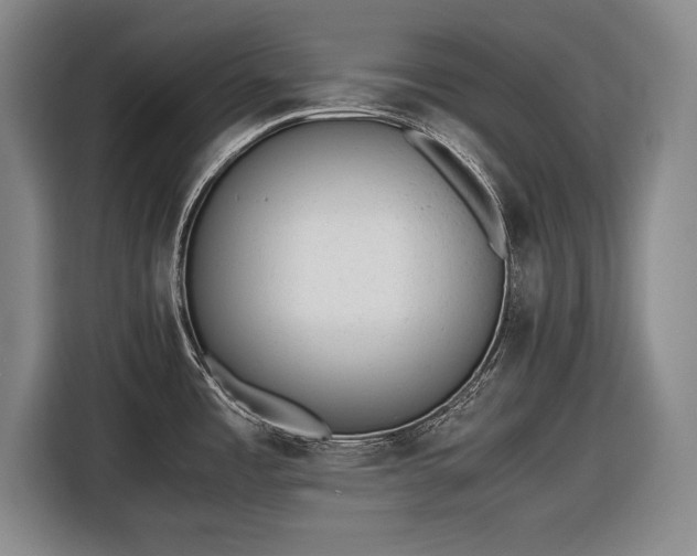 X0000116621485200912181255