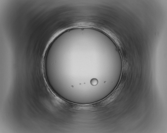 X0000116621486200912181255
