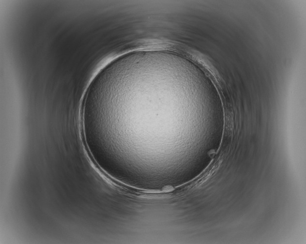 X0000116621487200912181255