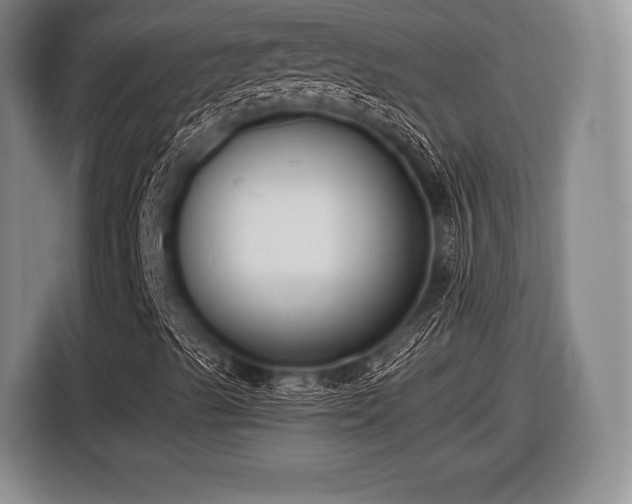 X0000116621489200912181254