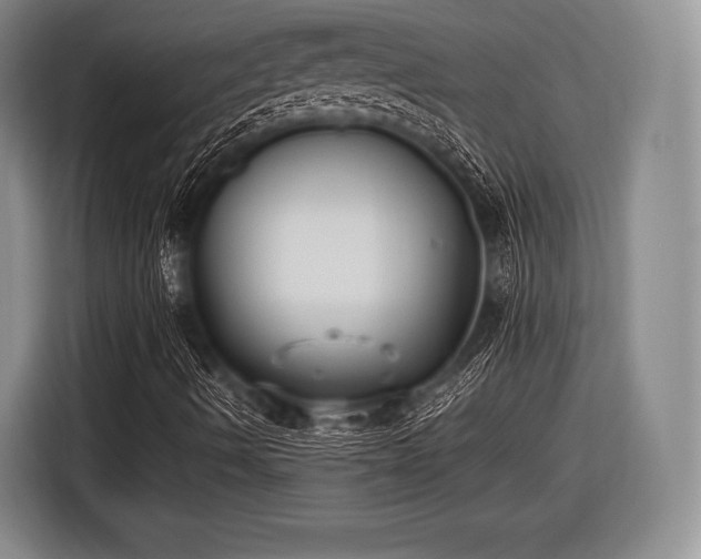 X0000116621490200912181254