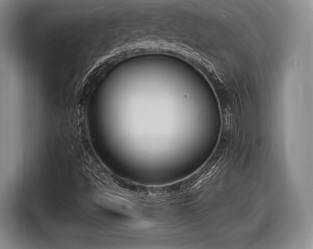 X0000116621494200912181254