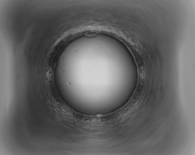 X0000116621495200912181254