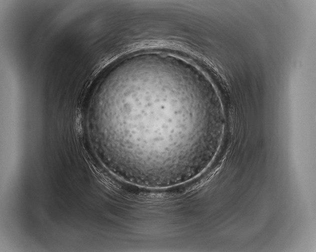 X0000116621497200912181254