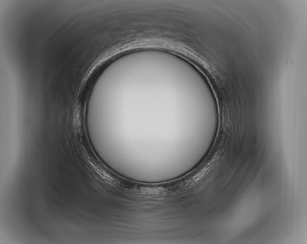 X0000116621498200912181254
