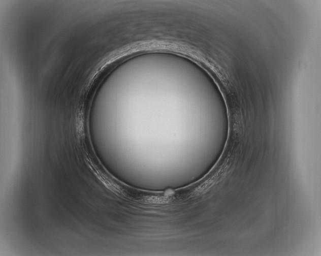 X0000116621499200912181254