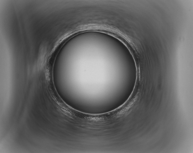 X0000116621501200912181254