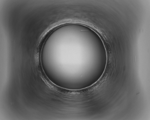 X0000116621503200912181254