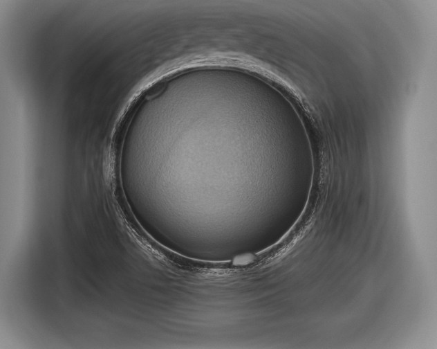 X0000116621506200912181254