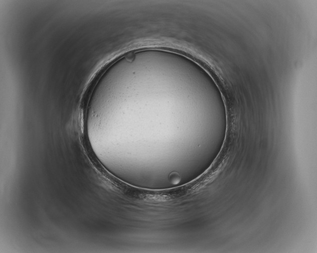 X0000116621509200912181254