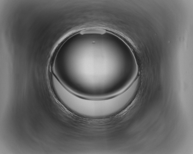 X0000116621510200912181254