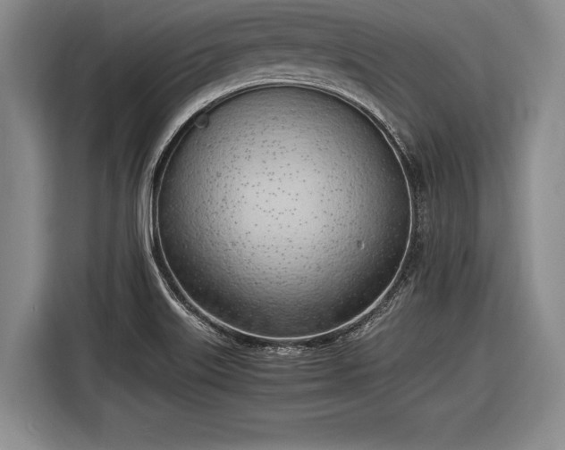 X0000116621515200912181254