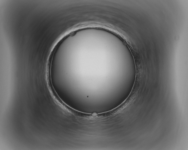 X0000116621518200912181254