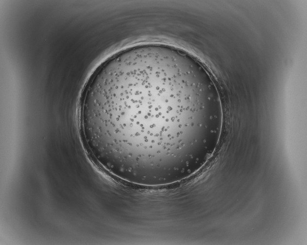 X0000116621519200912181254