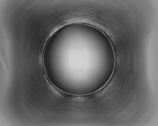 X0000116621521200912181254