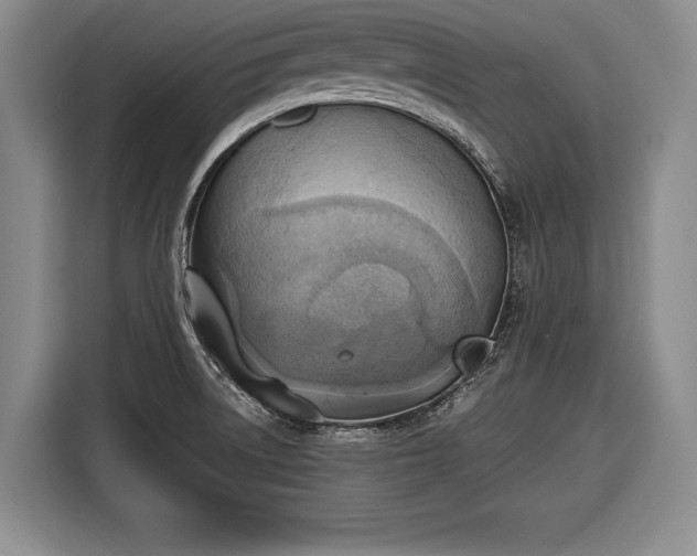 X0000116621522200912181254