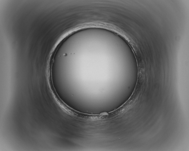 X0000116621523200912181254