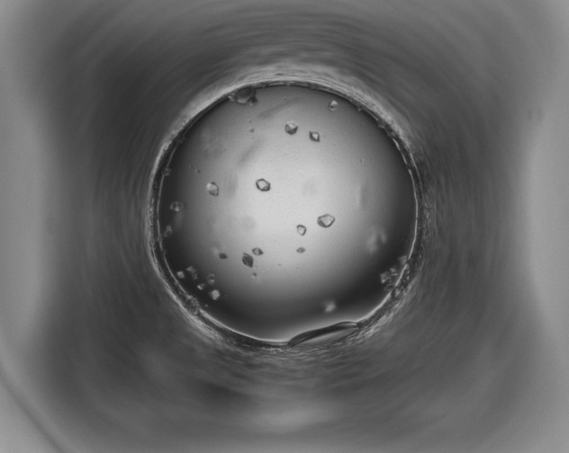 X0000116621525200912181254