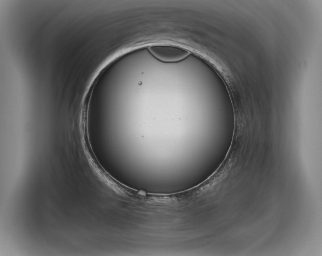 X0000116621526200912181255