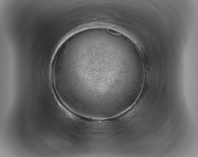 X0000116621527200912181255