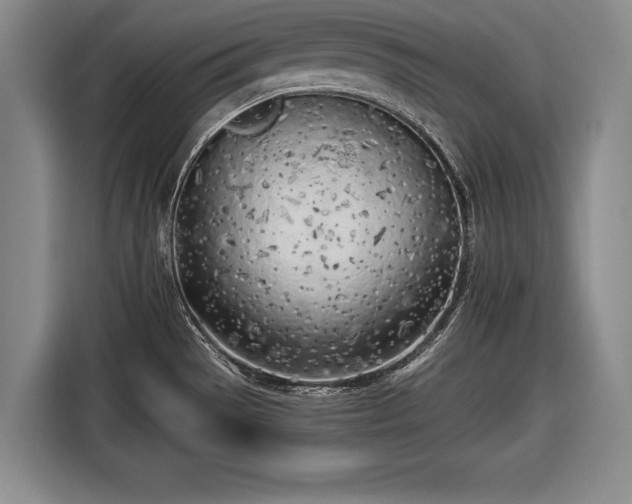 X0000116621529200912181255