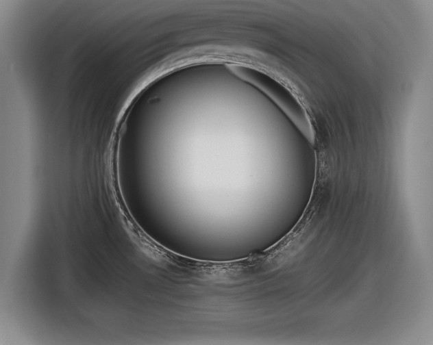 X0000116621530200912181255