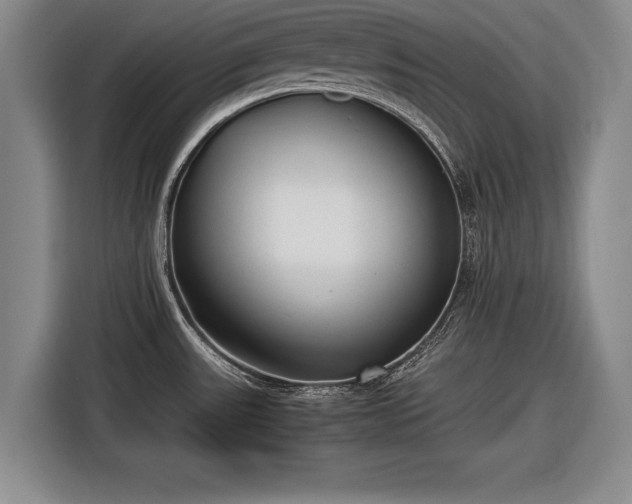 X0000116621531200912181255