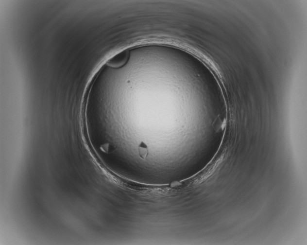X0000116621533200912181255