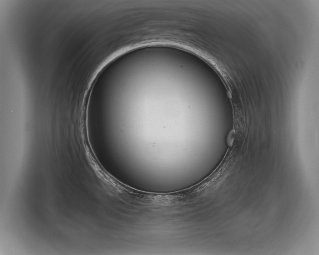 X0000116621534200912181255