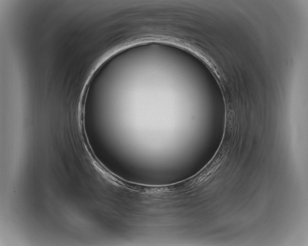 X0000116621535200912181255