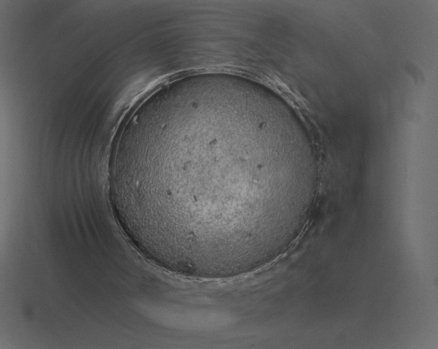 X0000116620002200912241802