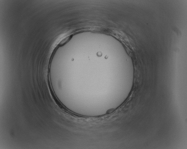 X0000116620003200912241802