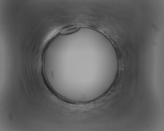 X0000116620005200912241802