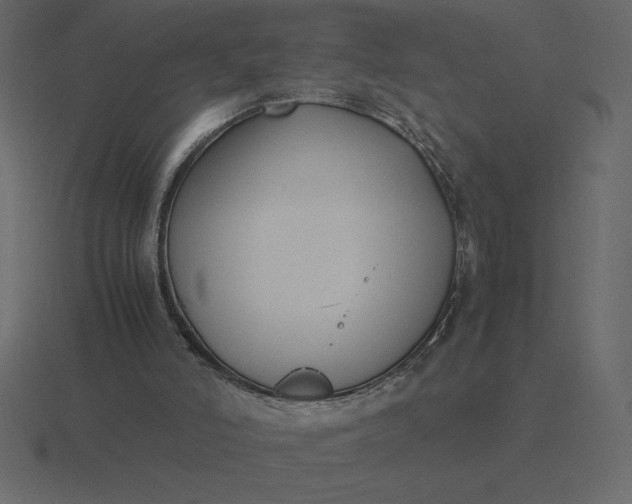 X0000116620006200912241802