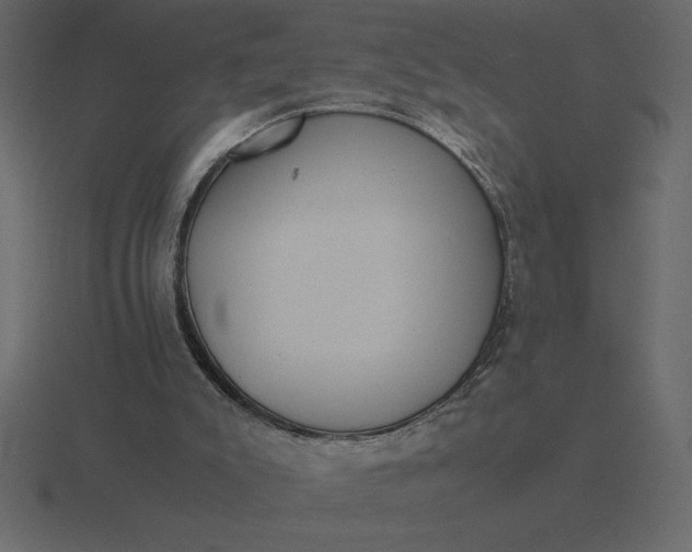 X0000116620007200912241802