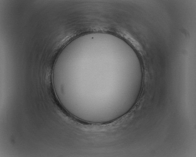 X0000116620009200912241802