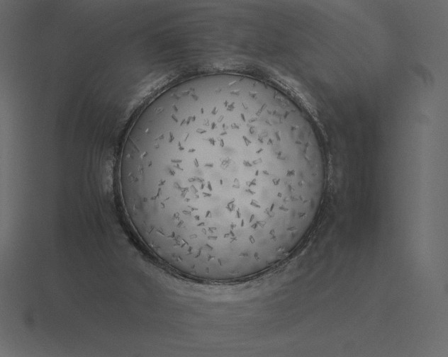 X0000116620010200912241802