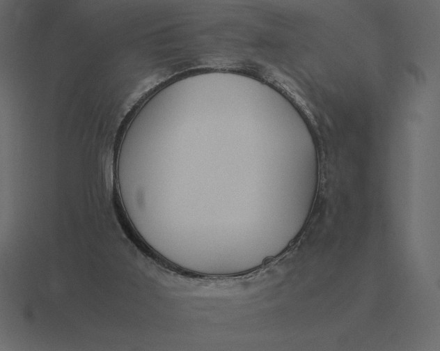 X0000116620011200912241802