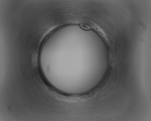 X0000116620012200912241802