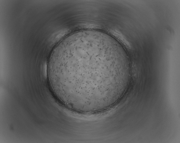 X0000116620014200912241802