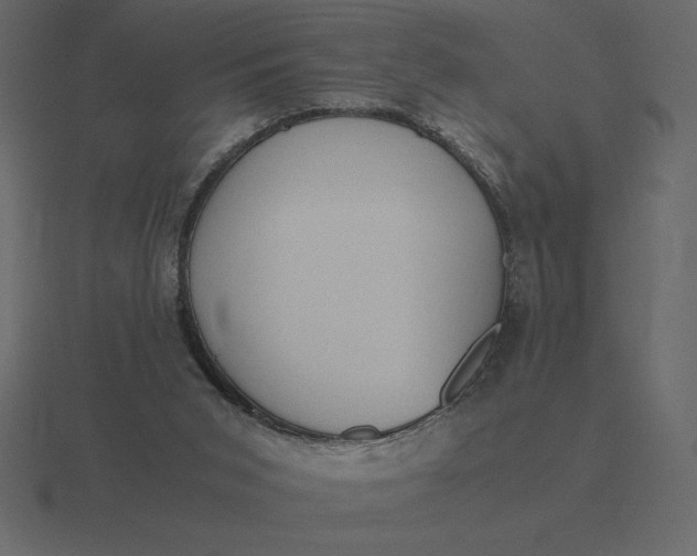 X0000116620015200912241802