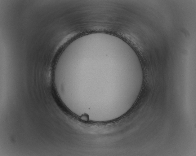 X0000116620016200912241802