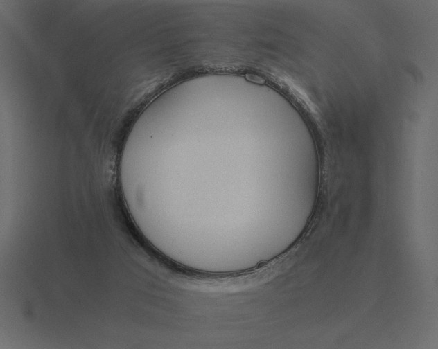 X0000116620017200912241802